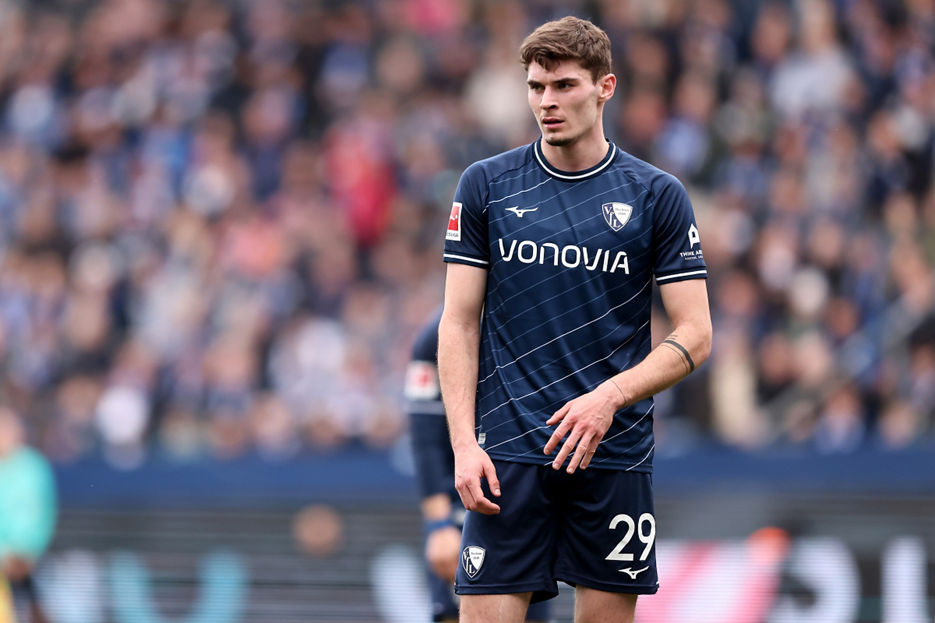 埃里克森的 埃里克森的