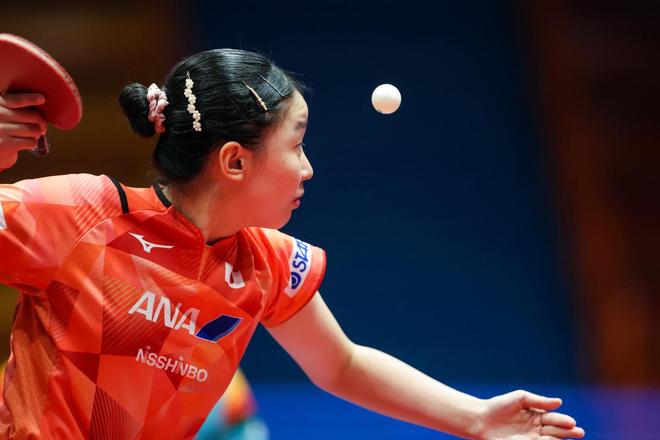 体系中的相 体系中的相